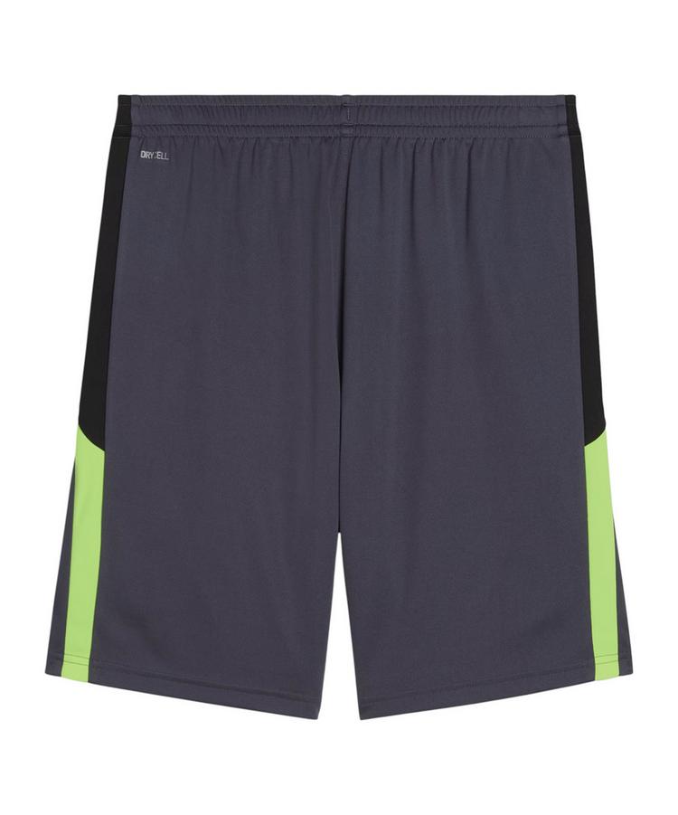 PUMA PUMA Short Fu&szlig;ballshorts Herren - grau - 0 | SportScheck