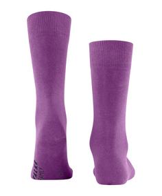 Rückansicht von Falke Family SO Freizeitsocken Herren phlox (8067)