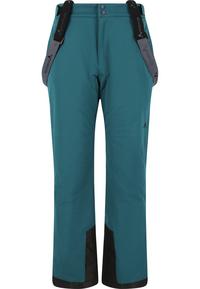 Whistler Gippslang Skihose Herren - 2043 Reflecting Pond