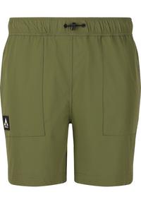 Whistler Trek Shorts Herren - 3247 Cypress