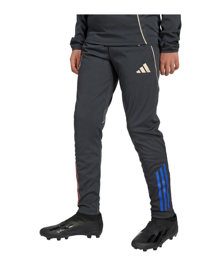 adidas adidas Olympique Lyon Trainingshose Kids Trainingshose Kinder - grau - 0 | SportScheck