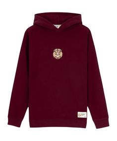 PUMA GSSTORE X Reflect Studio Lion Hoody Funktionssweatshirt Herren rot