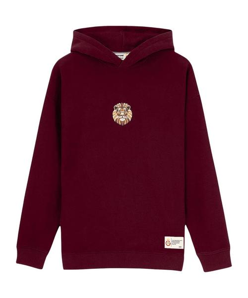 PUMA GSSTORE X Reflect Studio Lion Hoody Funktionssweatshirt Herren