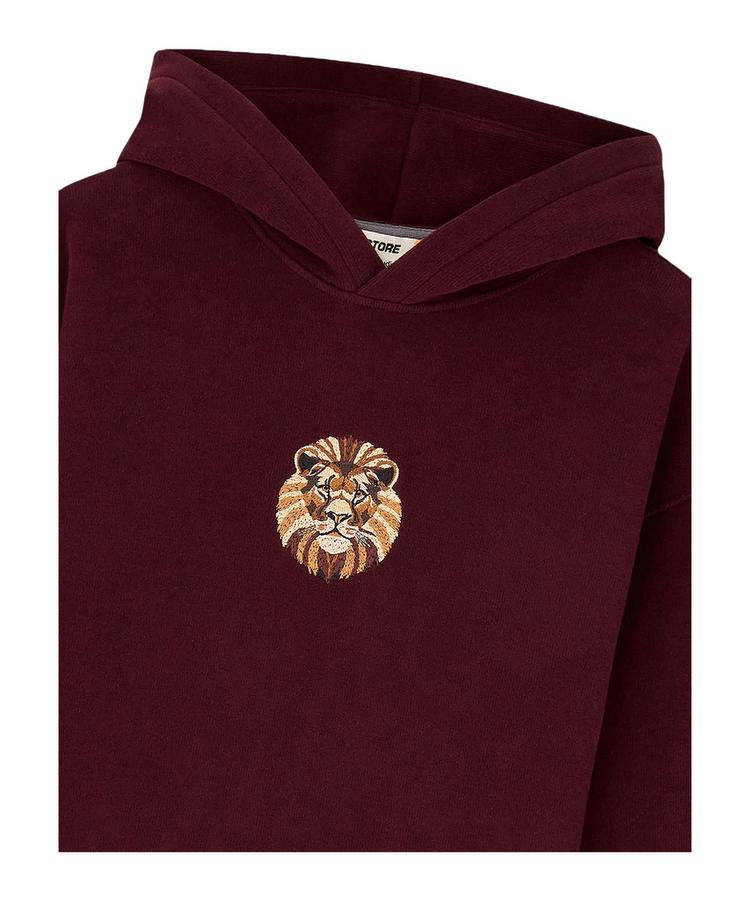 PUMA PUMA GSSTORE X Reflect Studio Lion Hoody Kids Funktionssweatshirt Kinder - rot - 1 | SportScheck