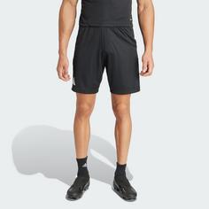Rückansicht von adidas Referee 24 Shorts Funktionsshorts Herren Black