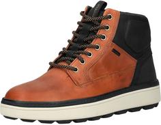 Geox Stiefelette Stiefel Herren Braun/Schwarz