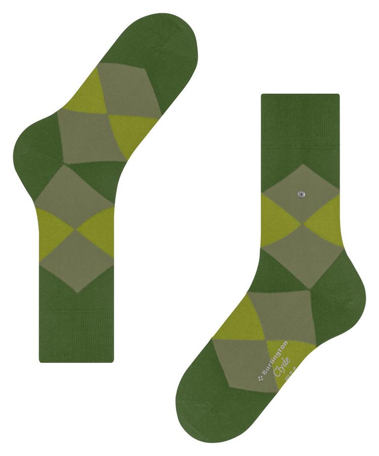Burlington Burlington Clyde Socken Herren - fir green (7656) - 2 | SportScheck