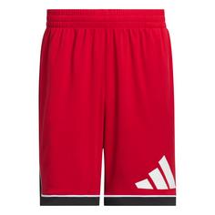adidas adidas Basketball Badge of Sport Shorts Basketball-Shorts Herren Team Power Red / Black