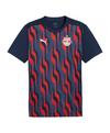 PUMA RB Salzburg Prematch Shirt 24/25 T-Shirt Herren - blau