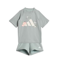 adidas TIRO_NSTER T-SHIRT-SET Trainingsanzug Kinder Wonder Sage / White