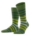 Burlington Blackpool Socken Herren - forest (7657)