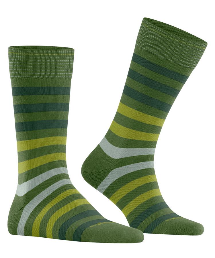 Burlington Burlington Blackpool Socken Herren - forest (7657) - 0 | SportScheck