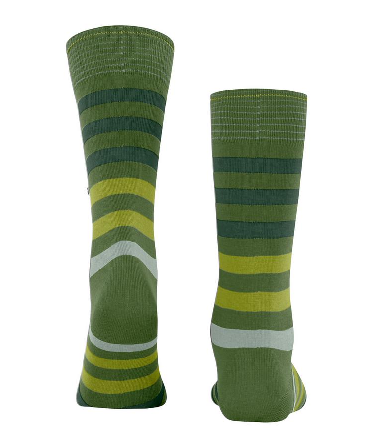Burlington Burlington Blackpool Socken Herren - forest (7657) - 0 | SportScheck