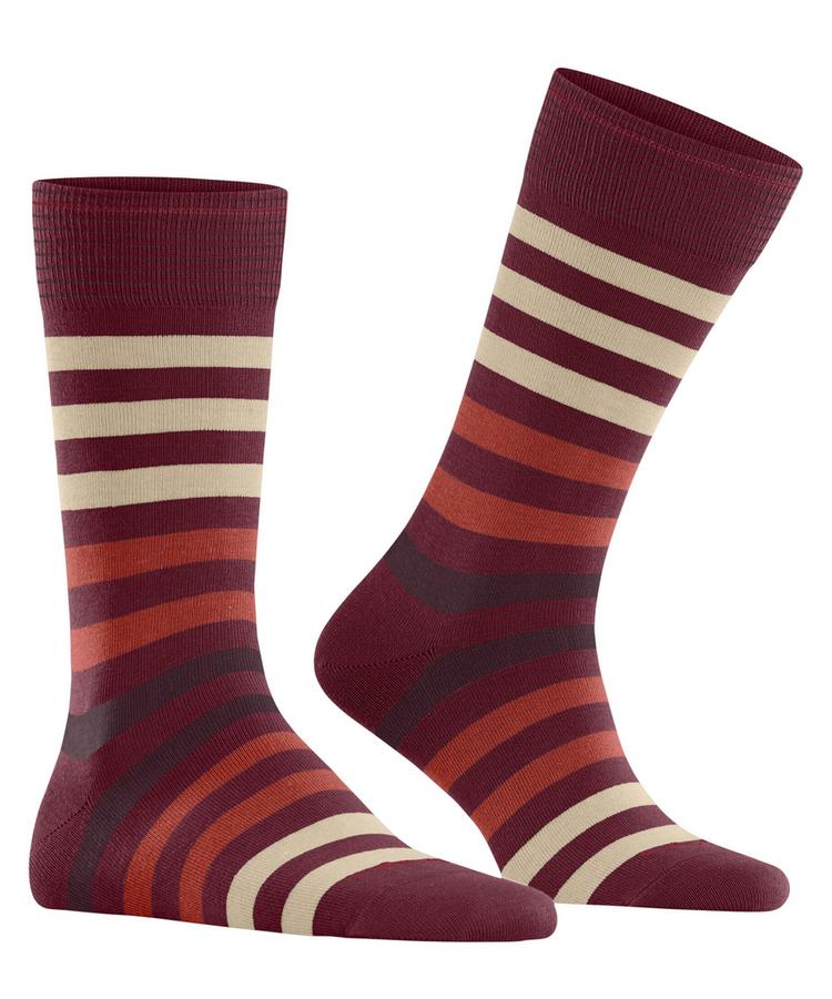 Burlington Burlington Blackpool Socken Herren - burgund (8011) - 0 | SportScheck
