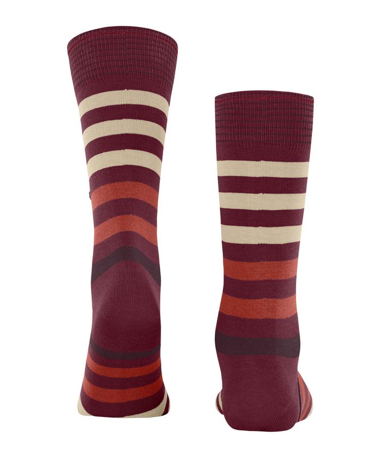 Burlington Burlington Blackpool Socken Herren - burgund (8011) - 0 | SportScheck