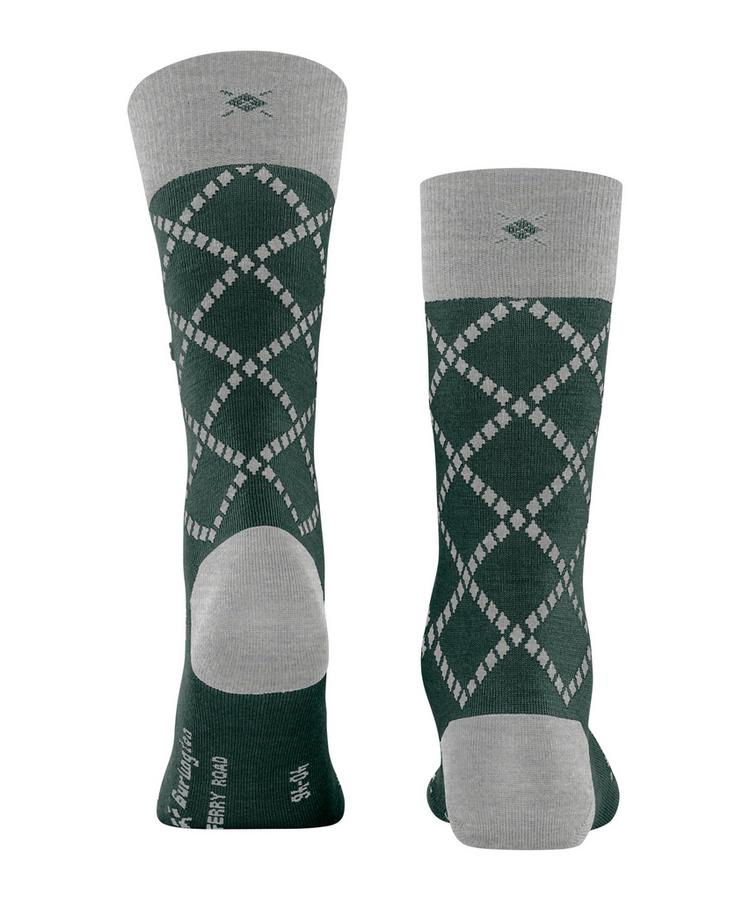 Burlington Burlington Ferry Road Socken Herren - forest (7450) - 0 | SportScheck