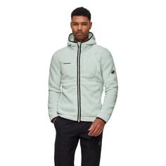 Rückansicht von Mammut Falera Pro Hooded Fleecejacke Herren silver sage