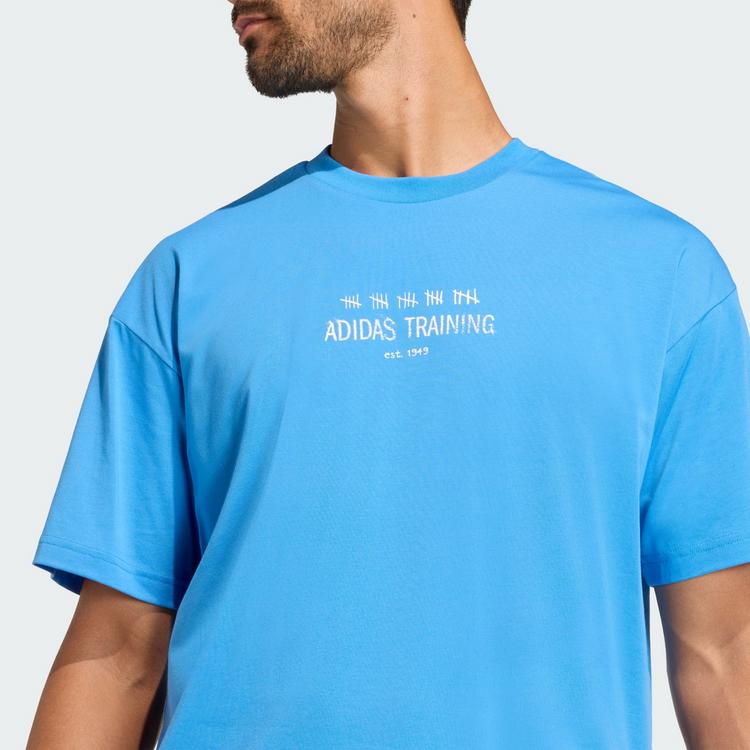 adidas adidas CLIMACOOL TECH TRAINING GRAFIK T-SHIRT T-Shirt Herren - Ray Blue - 1 | SportScheck