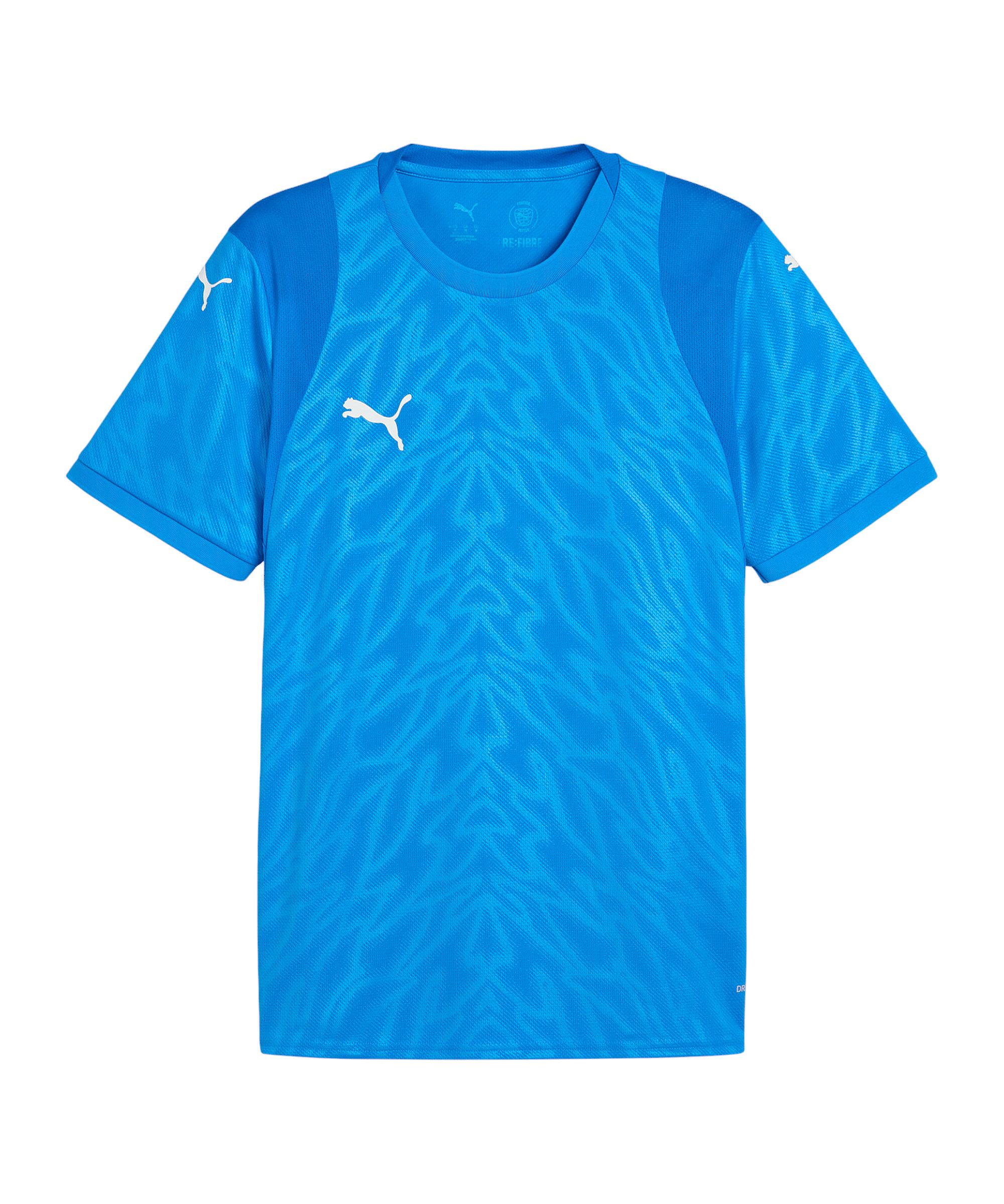 PUMA teamCUP Trikot Trikot Herren - blauweissblau
