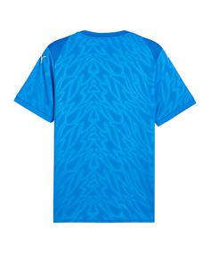 Rückansicht von PUMA teamCUP Trikot Fußballtrikot Herren blauweissblau