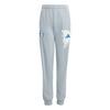 adidas Jude Bellingham Hose Trainingshose Kinder - Light Grey