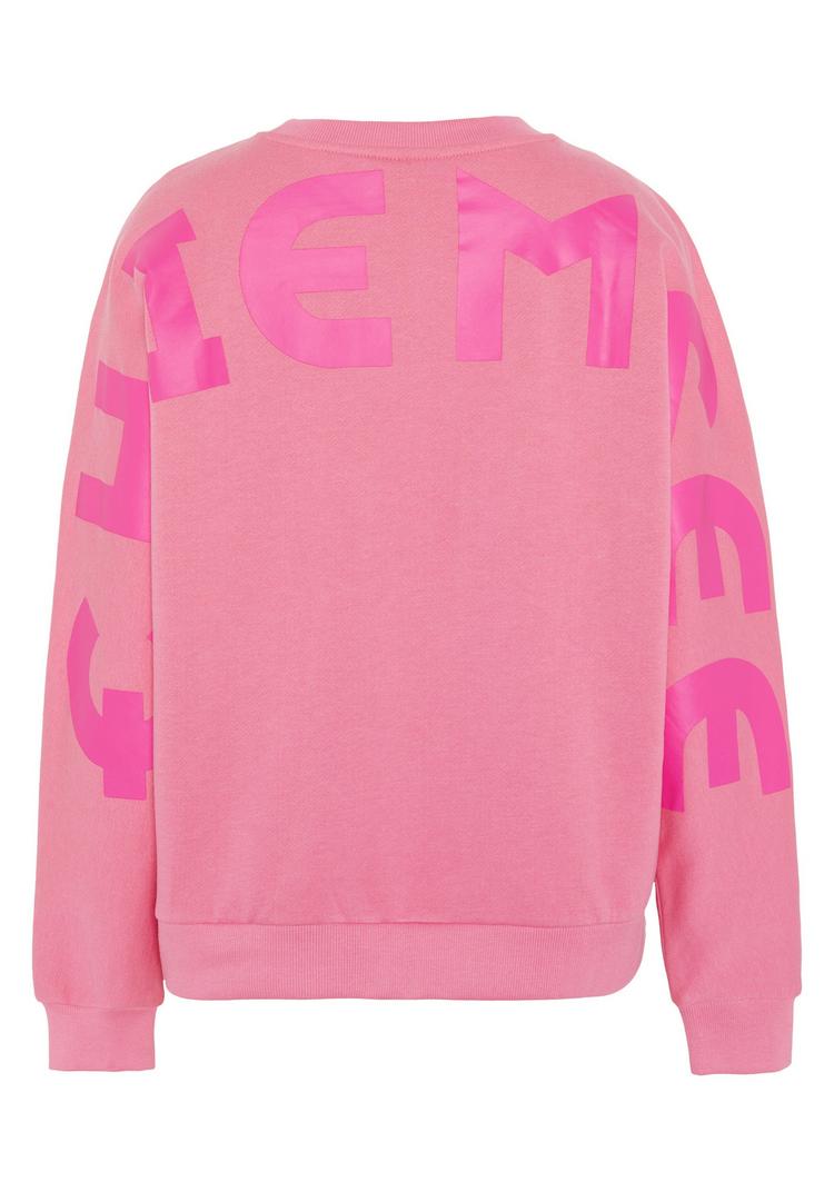 Chiemsee Chiemsee Rundhalspullover Sweatshirt Damen - 17-2120 Chateau Rose - 0 | SportScheck