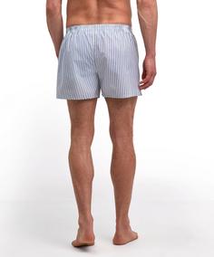 Rückansicht von Falke UW Woven Boxer Shorts m Boxershorts Herren green mix (0752)