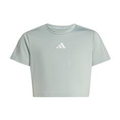 adidas Train Essentials Seasonal Print T-Shirt T-Shirt Kinder Wonder Sage / Silver Metallic
