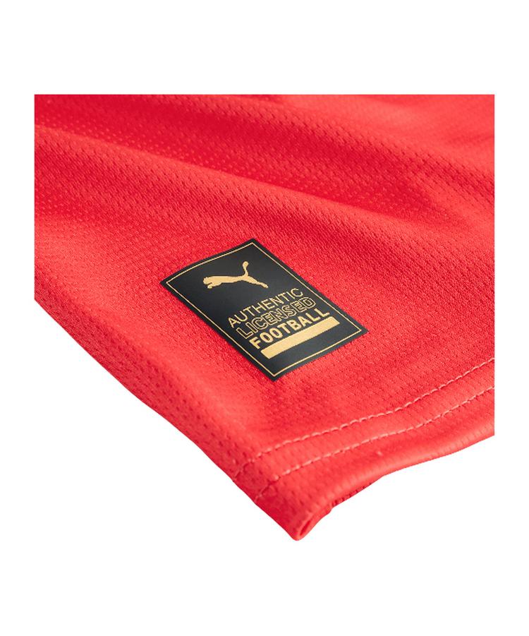 PUMA PUMA Holstein Kiel Trikot Away Trikot Herren - rot - 1 | SportScheck