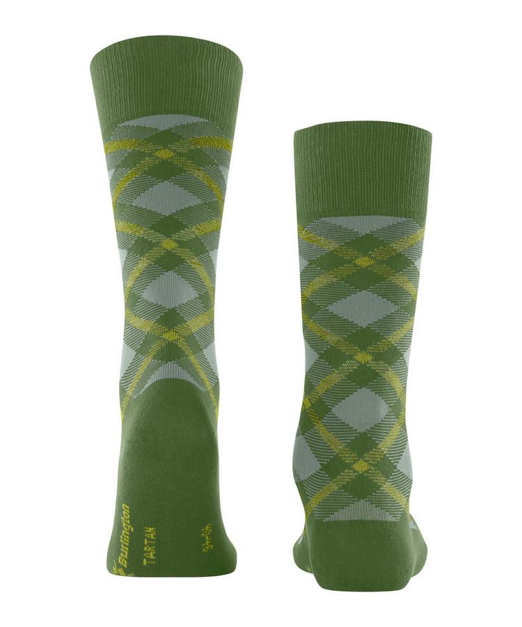 Burlington Burlington Tartan Socken Herren - fir green (7656) - 0 | SportScheck