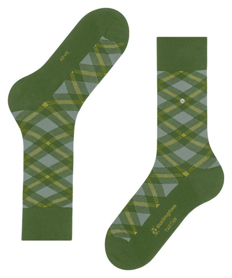Burlington Burlington Tartan Socken Herren - fir green (7656) - 2 | SportScheck