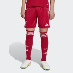 Rückansicht von adidas FC Liverpool FC 25/26 Heimshorts Kinder Fußballshorts Kinder Strawberry Red