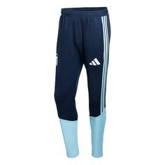 adidas Argentinien 26 Tiro Trainingshose Trainingshose Herren Night Navy