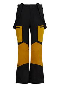 FUNDANGO Nexara ECO 3L Pants Skihose Herren - willow