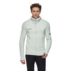Rückansicht von Mammut Taiss Light Hooded Fleecejacke Herren silver sage
