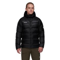 Rückansicht von Mammut Taiss Pro Hooded Daunenjacke Herren black