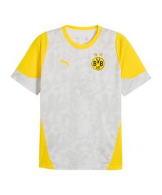PUMA Borussia Dortmund Trainingsshirt Fanshirt Herren grau
