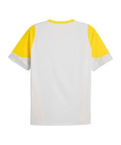 Rückansicht von PUMA Borussia Dortmund Trainingsshirt Fanshirt Herren grau