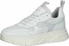 Steve Madden Sneaker Sneaker Damen - Wei&szlig; Kombi