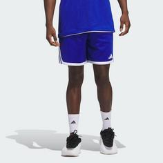 Rückansicht von adidas 3G Speed Basketball AEROREADY Shorts Funktionsshorts Herren Royal Blue / White