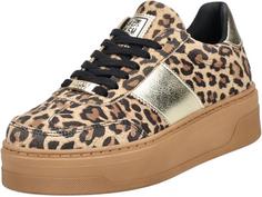 Steve Madden Sneaker Sneaker Damen Leopard
