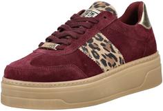 Steve Madden Sneaker Sneaker Damen Burgundy