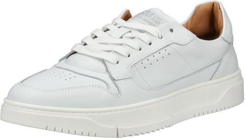 Steve Madden Sneaker Sneaker Herren