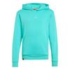 adidas Adidas Minecraft Terrex Hoodie Hoodie Kinder - Semi Mint Rush