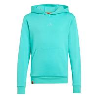 adidas Adidas Minecraft Terrex Hoodie Hoodie Kinder - Semi Mint Rush