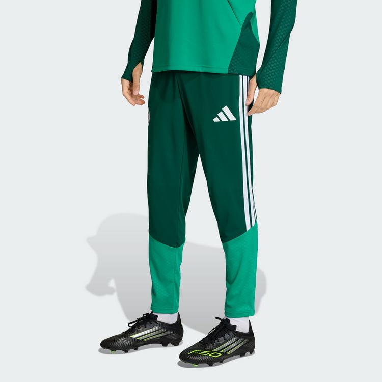 adidas adidas Algerien 26 Trainingshose Trainingshose Herren - Team Dark Green - 0 | SportScheck