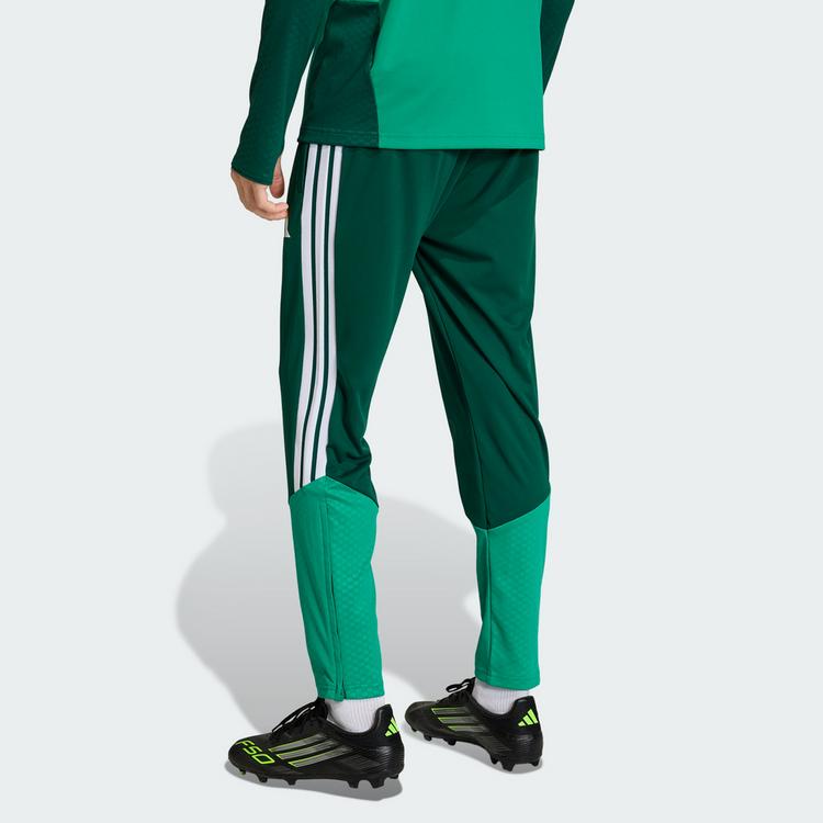 adidas adidas Algerien 26 Trainingshose Trainingshose Herren - Team Dark Green - 1 | SportScheck