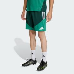 Rückansicht von adidas Algerien 26 Trainingsshorts Fußballshorts Herren Team Dark Green