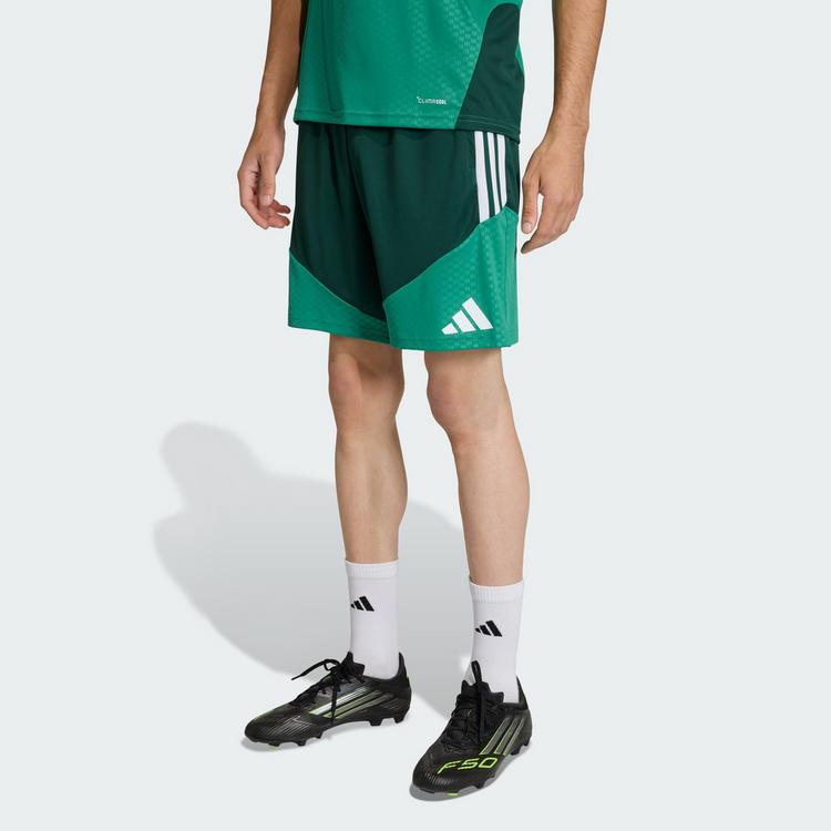 adidas adidas Algerien 26 Trainingsshorts Fu&szlig;ballshorts Herren - Team Dark Green - 0 | SportScheck