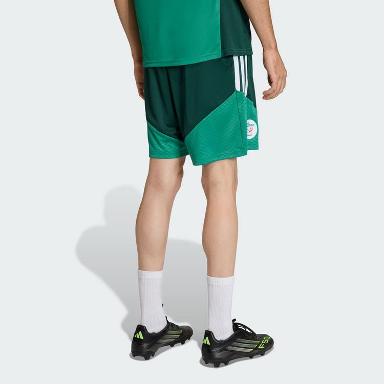 adidas adidas Algerien 26 Trainingsshorts Fu&szlig;ballshorts Herren - Team Dark Green - 1 | SportScheck